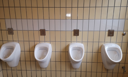 Die Toiletten am Rosenwall sind wieder geöffnet