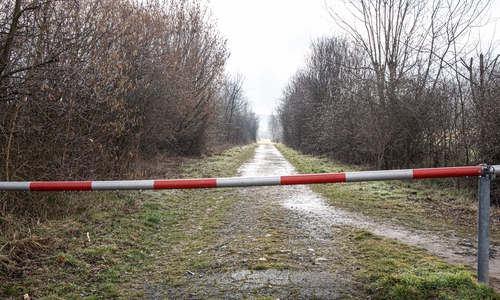 Auf einem Waldweg am Golfplatz wurde der Fötus gefunden.