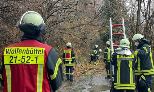 Bei Wind und Wetter kümmerten sich die Feuerwehrleute um Gefahren, die wegen der Witterung von Bäumen ausgingen.