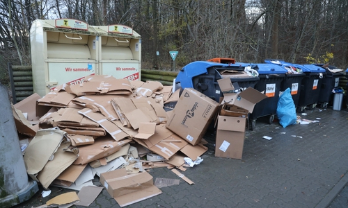 Aufgeräumtere Müllstationen würden bei der Bekämpfung der Ratten helfen. Das Foto wurde im Dezember am Pappeldamm aufgenommen.