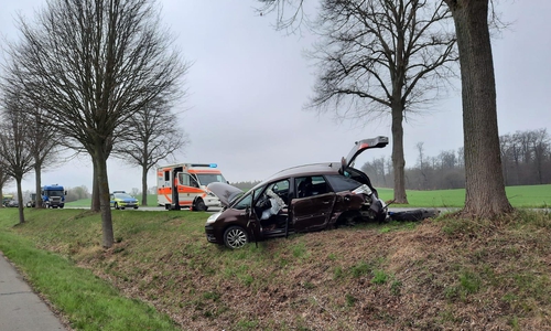 Der Fahrer des Wagens kam von der Fahrbahn ab.