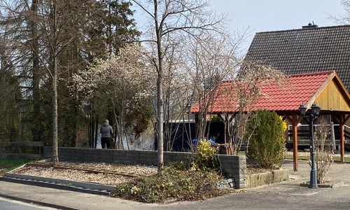 Auch ein paar angrenzende Tannen waren betroffen.
