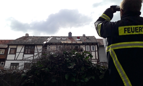Die Feuerwehr hatte es nicht leicht an das Tier heranzukommen.