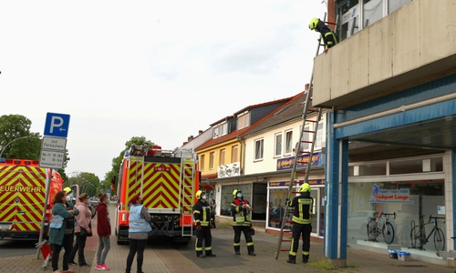 Die Feuerwehr eilte mit einer Steckleiter zur Rettung. 