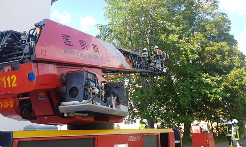 Die Feuerwehr wollte einen Waschbären retten.