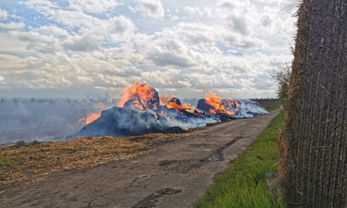 Die Strohballen ließ man kontrolliert abbrennen.