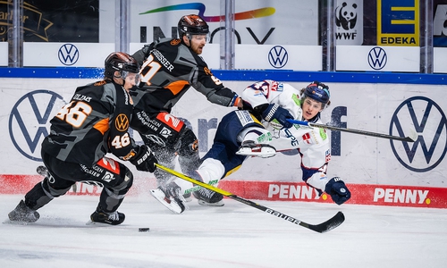 Mathis Olimb, Phillip Bruggisser von den Grizzlys Wolfsburg und Lukas Reichel von den Eisbären Berlin während des Spiels zwischen den Grizzlys Wolfsburg gegen die Eisbären Berlin. 