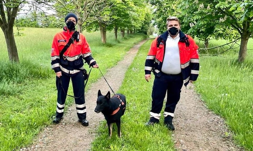 Dank der Suchhunde wurde die vermisste Frau gefunden.
