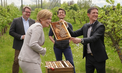 Der Braunschweiger Bundestagsabgeordnete Carsten Müller (ganz links) und Bundeslandwirtschaftsministerin Julia Klöckner (zweite von links) gehen auf Tuchfühlung mit den Bienen.