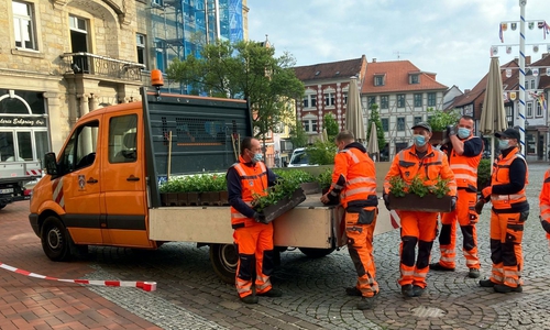 Die Geranien werden erst noch voll erblühen.