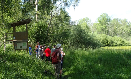 Im Naturschutzgebiet Lutterlandbruch gibt es einiges zu entdecken. 
