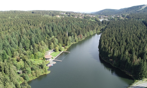 Der Kuttelbacher Teich. 