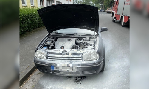Anwohner hatten das Feuer bereits mit Feuerlöschern abgelöscht, als die Feuerwehr eintraf. 
