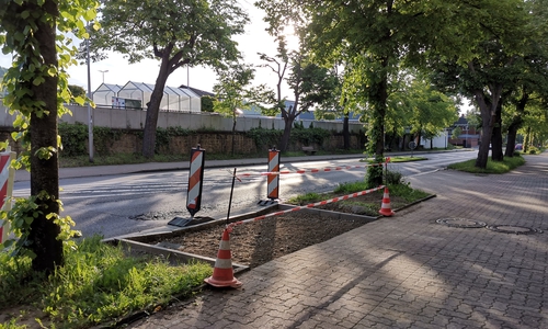 Fußgänger können hier künftig die Straße überqueren, ohne in einer Ein/Ausfahrt oder im Gebüsch zu stehen. 