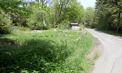 Unscheinbar liegt die abtrassierte Senke neben der Straße Am Grumbach in Hahnenklee-Bockswiese. Doch nach der Stilllegung des Schachts Johann Friedrich vor rund 110 Jahren hat es immer wieder Bodenabsenkungen gegeben.