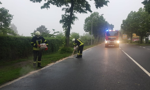 Die Feuerwehr beim Abstreuen der Ölspur. Es musste verhindert werden, dass das Öl in die Kanalisation gelangt. 
