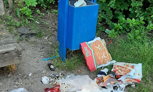 Auch wenn die Mülleimer im Stadtgebiet noch Platz bieten, wird der Unrat häufig einfach davor liegen gelassen.