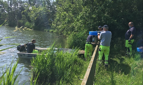 Ausbringen der Teichbelüfter am Mühlenteich.