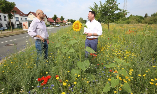 Bürgermeister Nerlich (re.) und Christian Schulz in der Bruno-Kuhn-Straße.