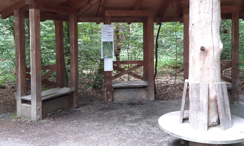 Am Arboretum geht es los. 