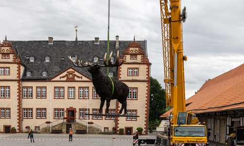 Der Riesenhirsch wurde mit dem Kran positioniert.