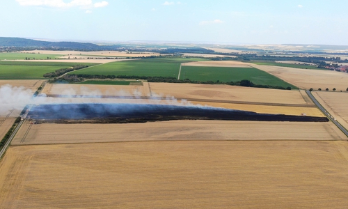 Bei Bad Harzburg brannten 1,5 Hektar Stoppelacker ab.