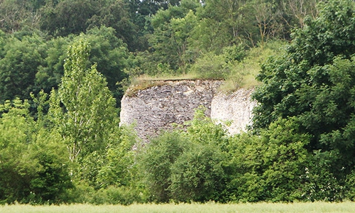 Der aus Naturschutzgründen nicht frei betretbare ehemalige Kalksteinbruch bei Salzgitter-Salder ist jetzt ein weltweiter geologischer Referenzpunkt.
