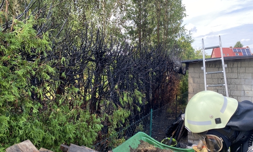 Die Hecke wurde durch das Feuer erheblich in Mitleidenschaft gezogen. 