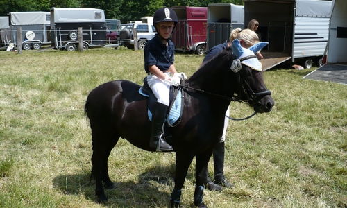 Pony Johannes, dass auch auf Turnieren mit unterwegs war.