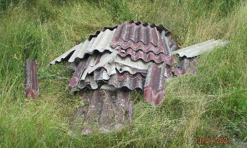 Diese Platten wurden einfach im Wald entsorgt. 