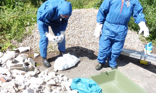 Bei der diesjährigen Tierseuchenübung zur Afrikanischen Schweinepest wurde unter anderem die Bergung von Fallwild geübt.