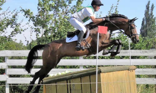 Am Wochenende startet das Vielseitigkeitsreiten in Bad Harzburg.