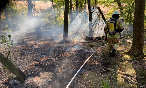 Zu einem kleineren Waldbrand wurden die Feuerwehren aus Querenhorst und Grasleben gerufen.