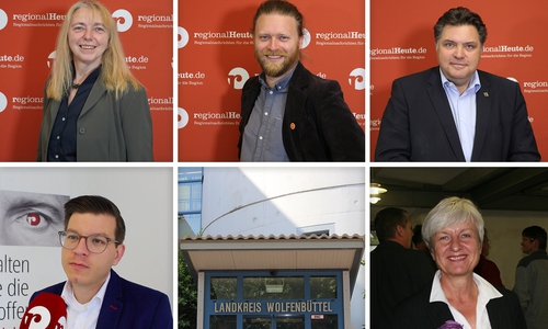 Diese Kandidaten wollen Landrat im Kreis Wolfenbüttel werden. Oben von links: Christiane Jagau (parteilos), Leonhard Pröttel (Grüne), Uwe Schäfer (CDU); unten von links: Björn Försterling (FDP), Christiana Steinbrügge (SPD)