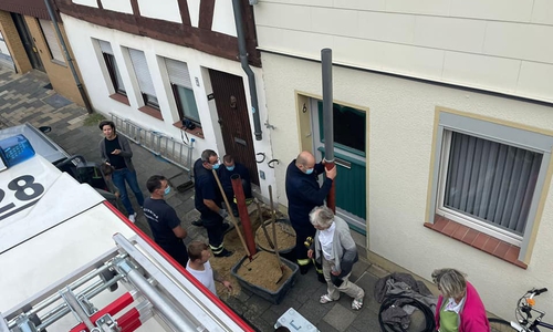 Die Feuerwehr musste eine Katzen aus einem Regenrohr retten.