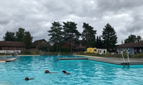 Das Freibad wurde zum Hundebad, im Hintergrund das Impfmobil.