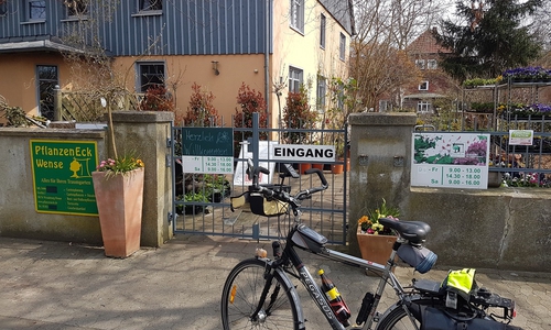 Das PflanzenEck Wense.