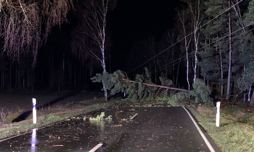 Bei Wesendorf stürzte ein Baum auf die Straße und in eine Stromleitung. 