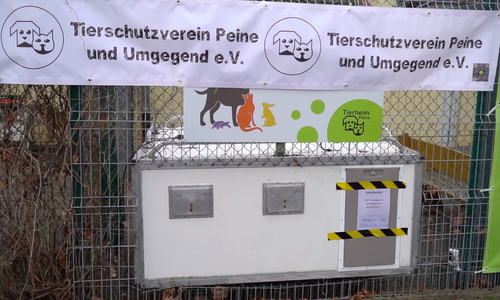 Die Tierklappe am Tierheim Peine bleibt jetzt erstmal geschlossen. 