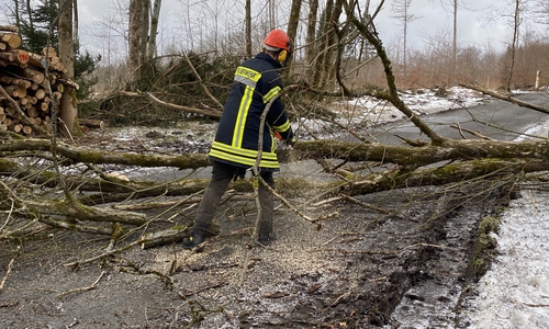 Der Feuerwehr Braunlage wurden mehrere umgestürzte Bäume im Stadtgebiet und auf den umliegenden Bundes- und Landstraßen gemeldet.