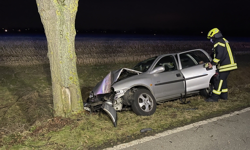 Der Fahrer war alleinbeteiligt gegen den Baum gefahren.