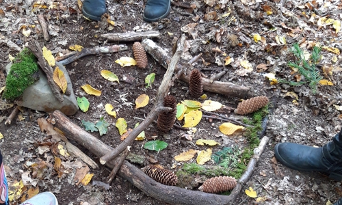 Stock und Stein, Zapfen und Zweige sammelten die Besucher des Herbstprogramms des NEST im Wald.