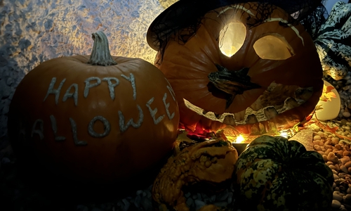 Warum feiern wir eigentlich Halloween?