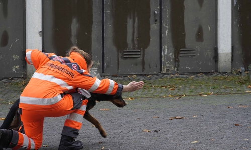 In Braunschweig legten Teams aus ganz Deutschland die Prüfung ab.