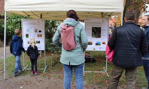 Projektmanagerin "5G Smart Country" Tanja Böhm (rechts) kommt mit interessierten Bürgern in den Austausch zum Forschungsprojekt "Smart Forestry"