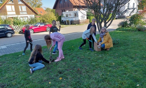 Die Garten AG der Grundschule Destedt beteiligte sich an der Frühblüher Pflanzaktion des Ortsrates Destedt.