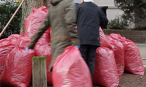 Aktive mit befüllten roten Kastanienlaub-Sammelsäcken.