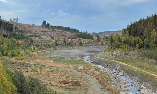 Die Okertalsperre im Harz im Oktober 2022: Anhaltende Trockenheit führt zu niedrigem Wasserstand und Baumsterben, was wiederum die Böden anfälliger und weniger aufnahmefähig für Niederschläge macht.