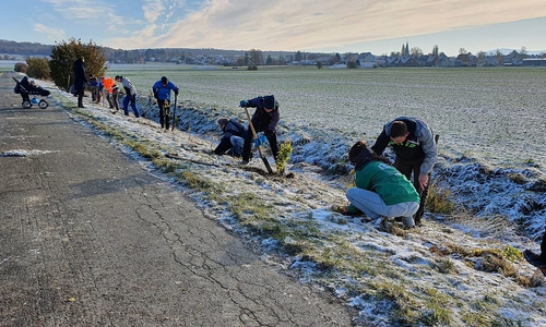 14 Helfer beteiligten sich am Samstag an der Hecken-Pflanzaktion in Dörnten.