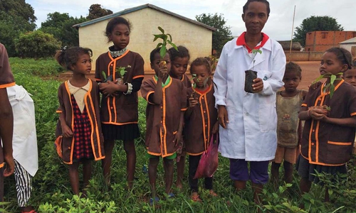 Der Verein Lovasoa betreibt eine eigene Grundschule in Madagaskar. Hier wurden Bäumchen gepflanzt.